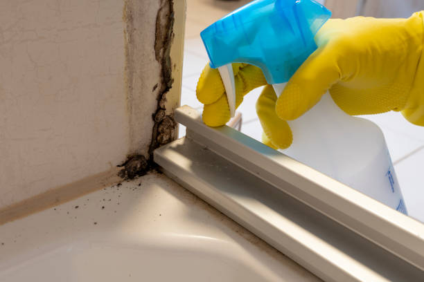 Best Affordable Mold Removal  in Hartshorne, OK