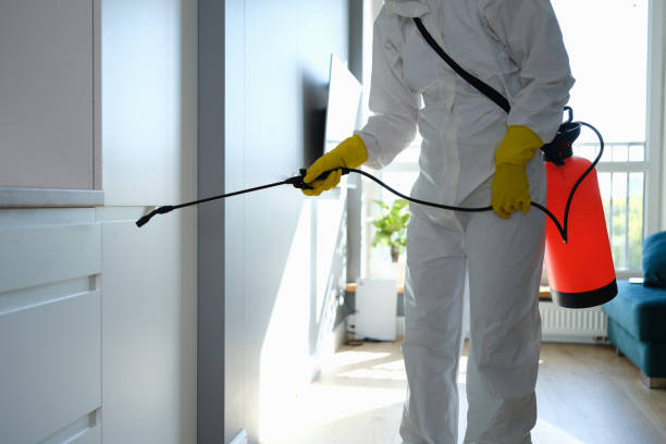 Best Emergency Mold Removal  in Hartshorne, OK