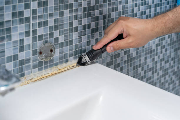 Best Commercial Mold Removal  in Hartshorne, OK