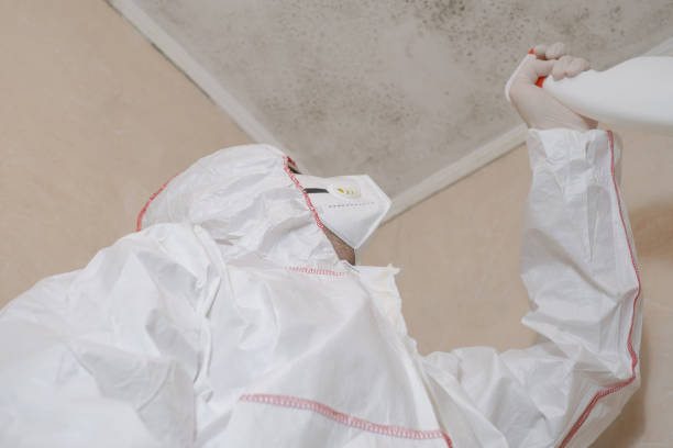 Best Mold Remediation Services  in Hartshorne, OK