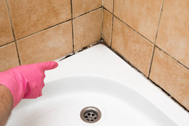 Best Professional Mold Removal  in Hartshorne, OK